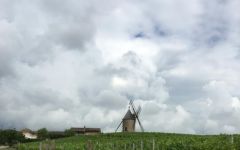 Louis Jadot Louis Jadot Moulin-a-Vent Landmark Winery Image