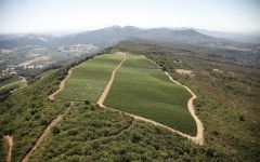 Pahlmeyer Aerial View of Atlas Peak Winery Image