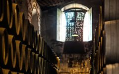 Cardenal Mendoza Barrel Room Winery Image