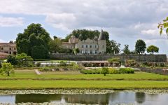 Chateau Lafite Rothschild Wine Buy About Learn Online - 