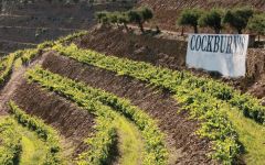 Cockburn's Quinta dos Canais Winery Image