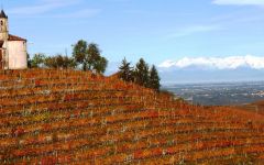 Anna Maria Abbona Winery Image