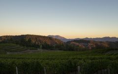 Pride Mountain Vineyards Pride Estate at Sunset Winery Image