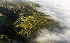 Markus Huber Ariel View Winery Image