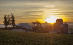 Stoller Family Estate Winery at sunset Winery Image