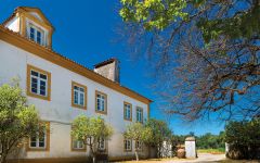 Quinta Da Fonte Souto Quinta Da Fonte Souto Winery Image