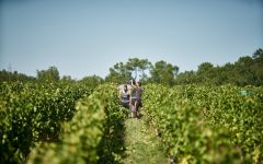 Chateau Marsau Winery Image