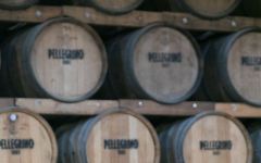Pellegrino Winery Image