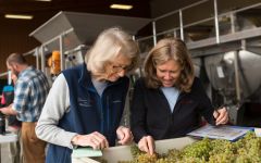 Domaine Drouhin Oregon Winemaker Veronique and Team Member Winery Image