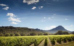 Henry Fessy Winery Image