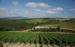 ColleMassari  Winery Image