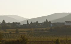 A. Christmann Winery Image