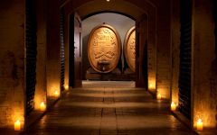 Fleur du Cap Winemaking Style Winery Image