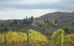 Tenute del Cabreo Tenuta del Cabreo Field  Winery Image