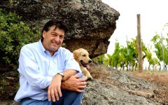 Jean-Luc Colombo Owner Jean-Luc Colombo with dog Corton Winery Image