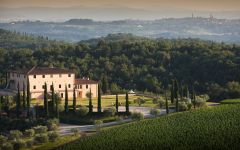 Tolaini Winery Image