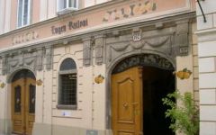 Bailoni Gold-Apricot Liqueur | Wine.com