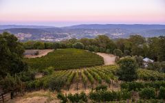 Amuse Bouche Winery Image