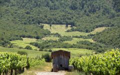 Vinedos Emiliana Mobile Chicken Coop Winery Image