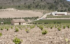 Bodegas Sierra Salinas Winery Image