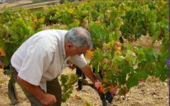 Bodegas Valderiz Winery Image