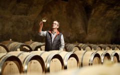 St. Michael-Eppan Winemaker Hans Terzer Winery Image