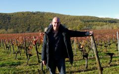 Chateau du Cayrou Julien Goursaud, the visionary winemaker Winery Image