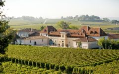 Chateau Angelus Château Angélus Winery Image