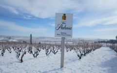 Bodegas Hnos. Perez Pascuas Vineyards in Winter Winery Image