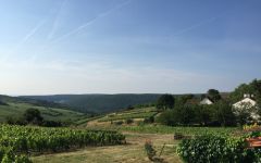 Domain Alain Gras Winery Image