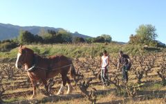 Bodegas Bhilar Biodynamic Philosophy  Winery Image