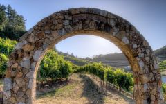 Pine Ridge La Petite Clos Arch Winery Image