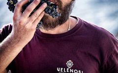 Velenosi Harvest 2018—Montepulciano Grapes Winery Image