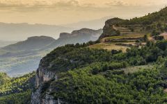 Scala Dei Winery Image