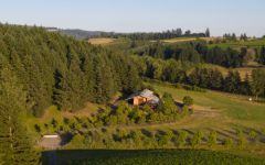 Lemelson Stermer Vineyard, Yamhill-Carlton AVA Winery Image