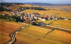 Maison Roche de Bellene The Village of Volnay  Winery Image