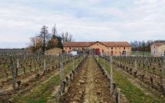 Chateau Haut-Colombier Château Haut-Colombier Vineyard Winery Image