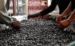 Chateau d'Aiguilhe The Harvest Winery Image