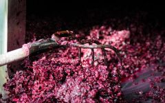 Morgante Winery Image