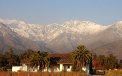 Domus Aurea Winery Image