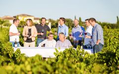 La Vieille Ferme The Perrin Family in the Vineyard Winery Image