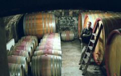Weingut Paul Achs Winery Image