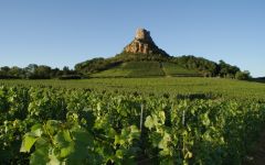 Chalet Pouilly Mâcon-Solutré Winery Image