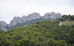 Chateau de Saint Cosme Dentelles de Montmirail Winery Image