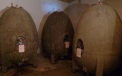 Chateau Maris Maris’ concrete egg Winery Image