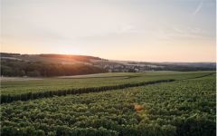 Piper-Heidsieck  Winery Image