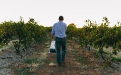 Peter Lehmann Viticulturist Tony Marshall  Winery Image