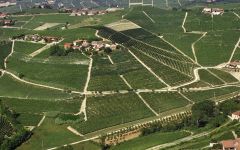 Produttori del Barbaresco Asili Vineyard Winery Image