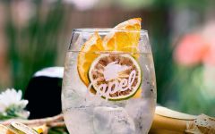 Pisco Capel  Winery Image