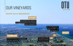 Otuwhero Estates Winery Image